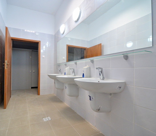 ase-proiect ase-proiect